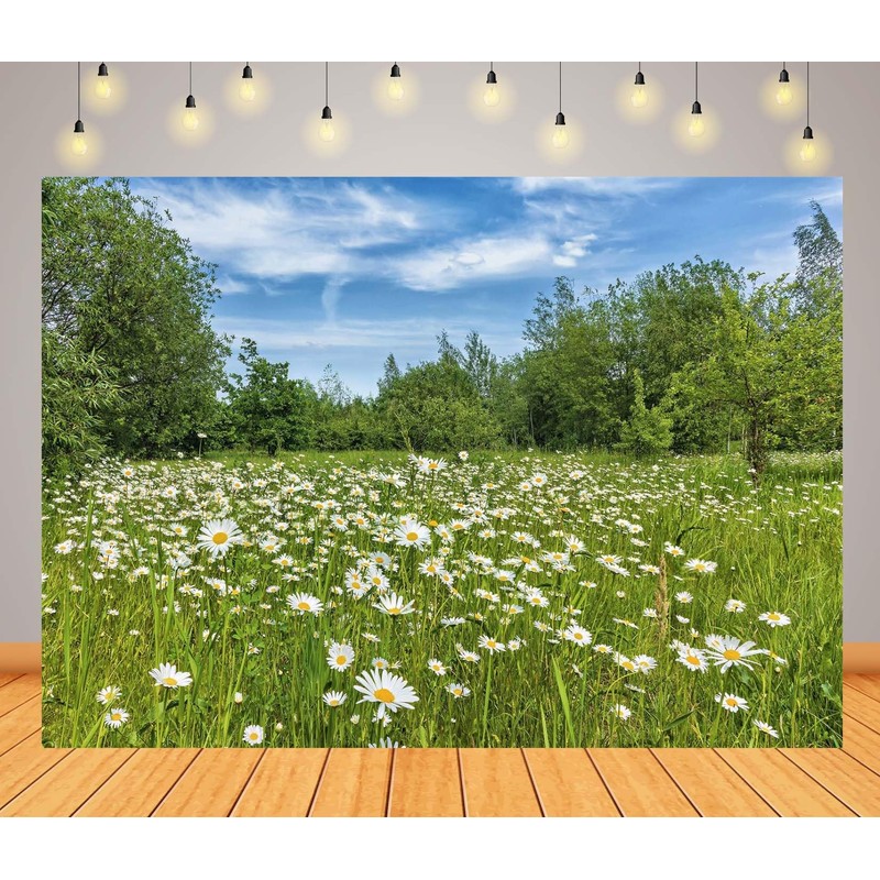CORFOTO 5x3ft Fabric White Daisies Field Backdrop Daisy Flower Background