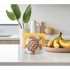 dgudgu Turtle Kitchen Sponge Holder for Kitchen Sink Ceramic Kitchen