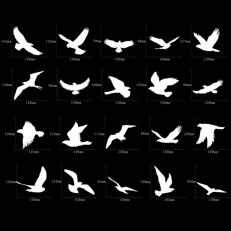 Boao 40pcs Large Anti Collision Window Stickers Bird Window Stickers