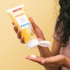Burt's Bees Milk and Honey Body Lotion, 6 Ounces (Pack