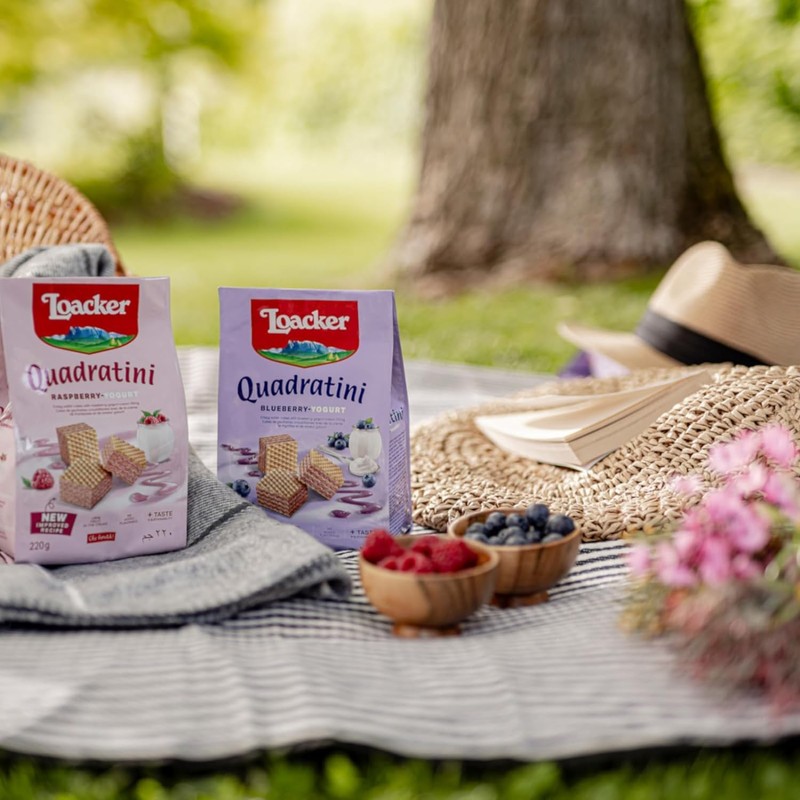 Loacker Quadratini Raspberry Yogurt Wafer Cookies LARGE - 30% Less