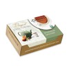 Davidson's Organics, Cinnamon Apple, 100-count Individually Wrapped Tea Bags