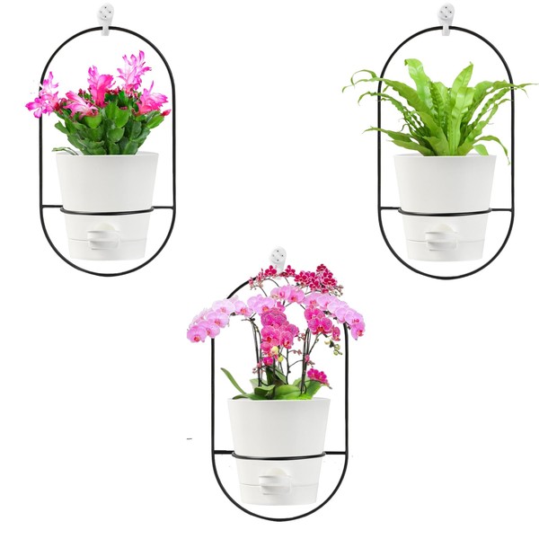 Wall Planters for Indoor Plants Set of 3-5" Modern Hanging