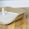 Dog Potty Tray with Raised Fences Removable Mesh Grid Pad