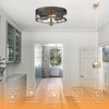 Rosient Flush Mount Ceiling Light Fixture, 12 inch 2-Light Modern