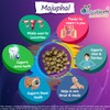 DivyaHerb Majuphal (Katalu Mayu) Powder, Natural, 100 grm (Pack of