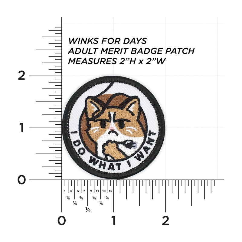 Winks For Days Adult Merit Badge Embroidered Iron-On Patch (I