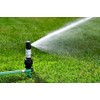 Rain Bird 42SASPG Gear Drive Rotor Sprinkler with Adjustable Spray
