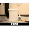 Paint-Guard Mold and Mildew Defense Paint Additive (5 Gallon Treatment)