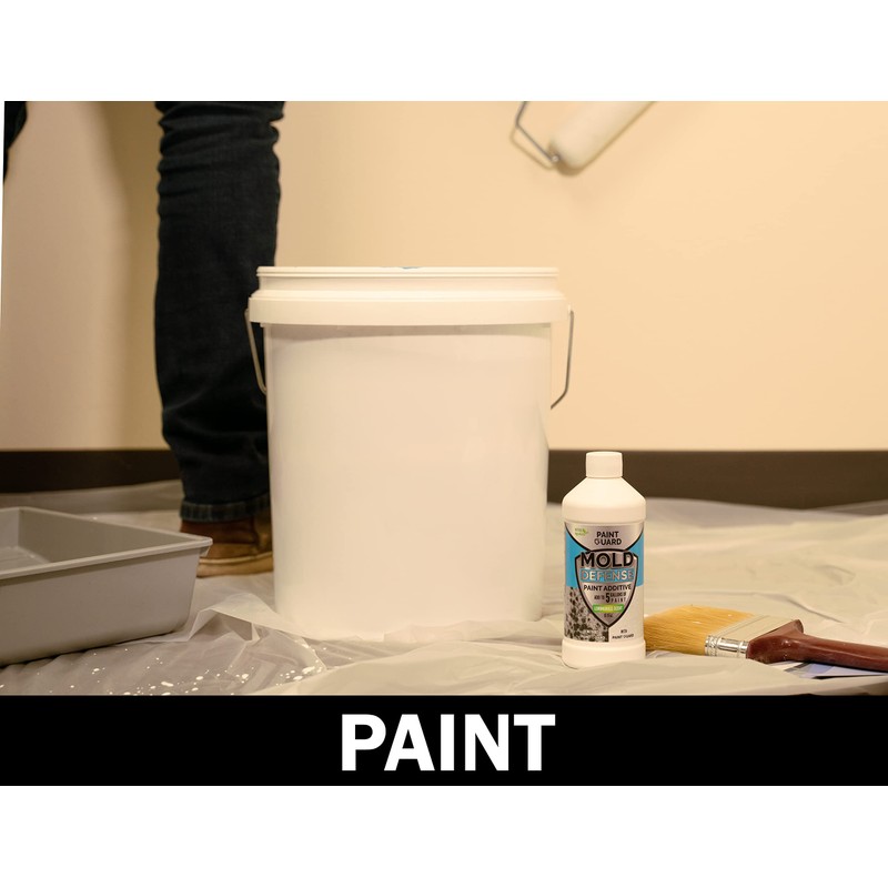 Paint-Guard Mold and Mildew Defense Paint Additive (5 Gallon Treatment)