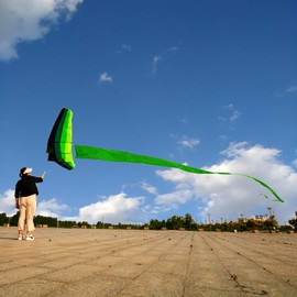 Christen Sunny Professional Adult Kite with Long Tail - Huge,Beautiful Aircraft Kite,Huge Beach Kite,No Kite String,Box Kite,Giant Kite,Big 3D Kite