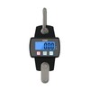 SIKE Hydraulic Home Patient Lift Economic Scale with Stainless Steel