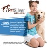 PetSilver Wound & Skin Spray - Dog Wound Spray, Hot