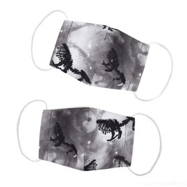 Colorful Candy Style N5324122 Mask, Women's, Set of 2, Washable, 3D Fabric, Antibacterial, Monotone