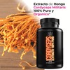 Cordyceps Militaris Extracto 100% Puro (180 Capsulas 500mg) | [Extremadamente