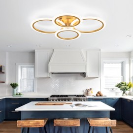Vloitgol Modern LED Ceiling Light, 4 Rings LED Dimmable Flush Mount Ceiling Light with Remote Control, Gold Close to Ceiling Lamp for Kitchen Living Room Bedroom Laundry Room Ceiling Lighting Fixture