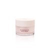 [Heimish] Bulgarian Rose Satin Cream 55ml NEW 2018 (K-Beauty)