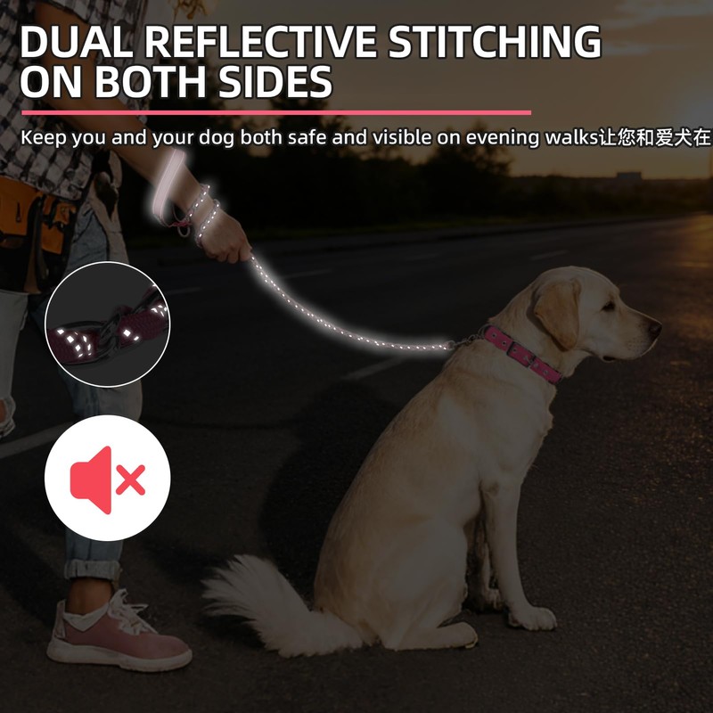 PUPTECK Chain Dog Leash Chew Proof, 2-in-1 Reflective with Soft