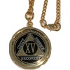 RecoveryChip 33x3mm Reflex or Elegant AA Medallion Sobriety Chip Holder