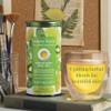 The Republic of Tea – Beauty Brain Beautifying Botanicals Lemon