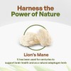 Lions Mane polvo de champiñón extracto de melena de leones