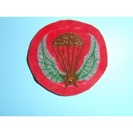 b8661 RVN Vietnam Army Special Forces Beret badge bullion subdued Airborne IR10D