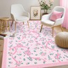 GarveeHome Coquette Pink Rugs for Bedroom Girls, 3x5 Rug for