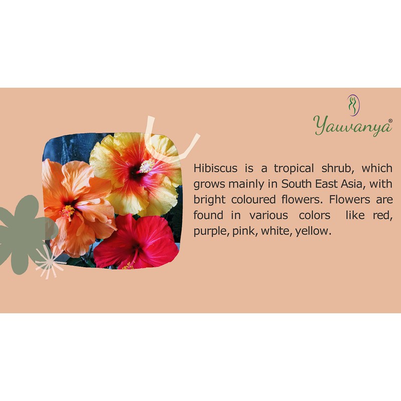 Yauvanya Pure Hibiscus Powder for Hair - 100 g