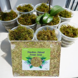 Yilotuce 7 oz Natural Orchid Moss for Potted Plants, Nice Soilless Potting Soil for Seedling and Cutting, Good Idea for Reptile Terrarium, Crafts, Garden Decoration