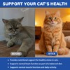 Taurine Drops for Cats – Liquid Taurine Supplement for Eyesight,