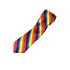 Zac's Alter Ego Rainbow Stripe Tie