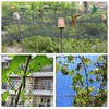 Pond Net, Pond Netting, Pond Netting for Leaves, Bird Netting,