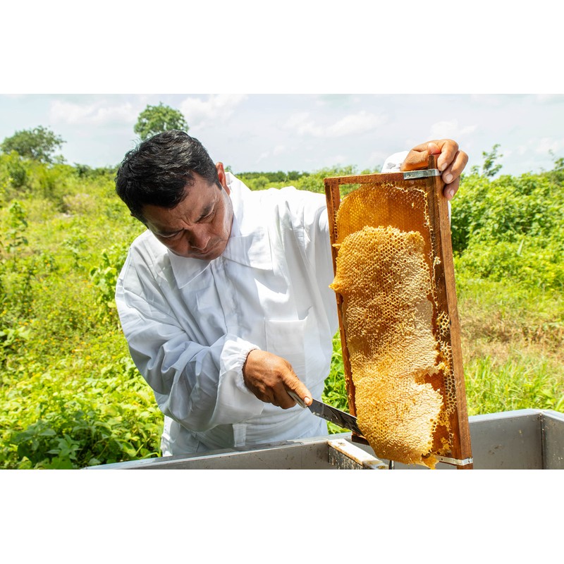 NBF Miel de Abeja Mantequilla Pura Organica 454gr 100% Natural