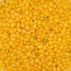 Smarty Stop Jelly Beans Every Flavor Candy (5 Pound (Pack of 1), Pineapple)