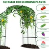 Tall Garden Arch Trellis for Climbing Plants, 87in Tall Metal