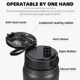 Fanhaw 20 oz Insulated Stainless Steel Water Bottle with Anti-Dust Chug Lid, Leakproof Vacuum Metal Bottle for Kids, Women & Men (Black)