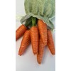 Unbranded BRAND NEW Set of 6 Super Cute EASTER carrots