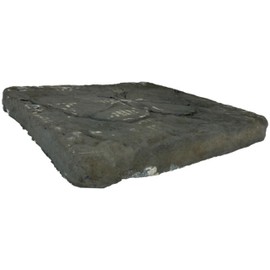 Athens Butterfly Stepping Stone, Cypress