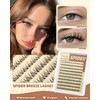Spider Breeze Lash Clusters Kit Wispy Natural Eyelash Clusters DD