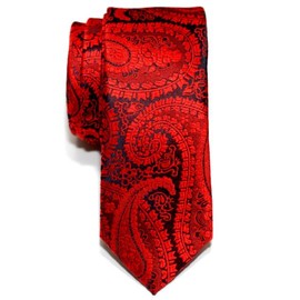 Retreez Paisley Art Pattern Woven Microfiber Skinny Tie - Red on Navy Blue