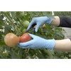 SHOWA GLOVE No. 882 Nitrist Touch Gloves, Powder-Free, 100 Pieces,