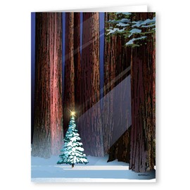 Christmas Tree in The Forest Holiday Card - 18 Christmas Cards & Envelopes - Winter Holiday Forest (Standard)