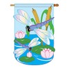 Two Group - Dragonfly Garden Friends - Everyday Bugs &
