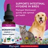 Phytopet Wormwood Complex, All Natural Pet Remedy Intestinal Hygiene, Health