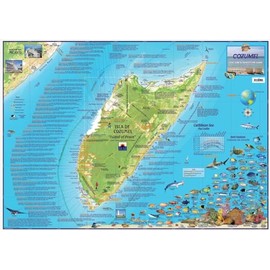 Franko Maps Cozumel Laminated Full Color Travel Wall Map