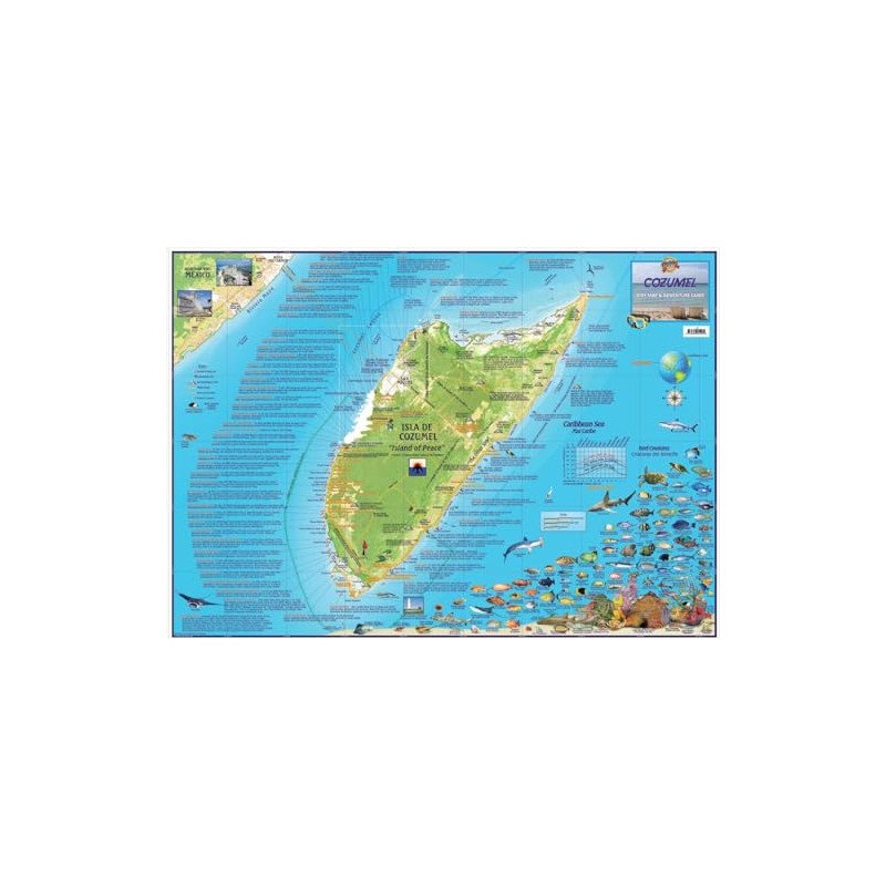 Franko Maps Cozumel Laminated Full Color Travel Wall Map