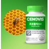 Synovus Propolis Plus, 60 Capsules, 1 Unit