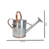 Plexon 2 Gallon Copper/Silver Galvanized Steel Watering Can, 9.5" D