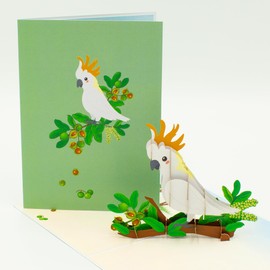 Handmade Shop Cockatoo & Macadamia 3D Pop Up Card, Australia Theme, Birthday Occasion
