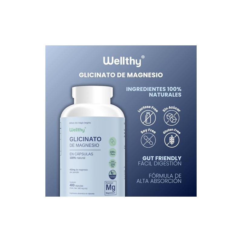 Wellthy Glicinato Magnesio 400 Cápsulas 432mg 100 Natural Puro Alta